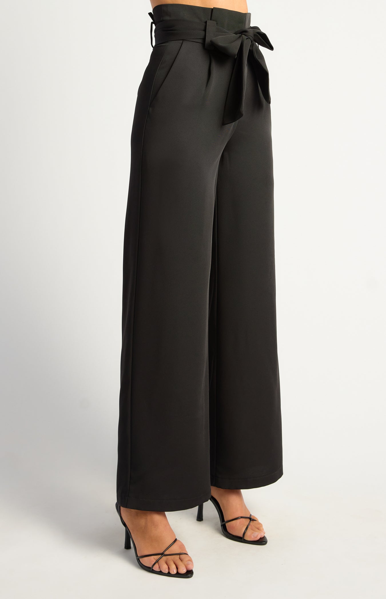 Paper Bag Dressy Pants