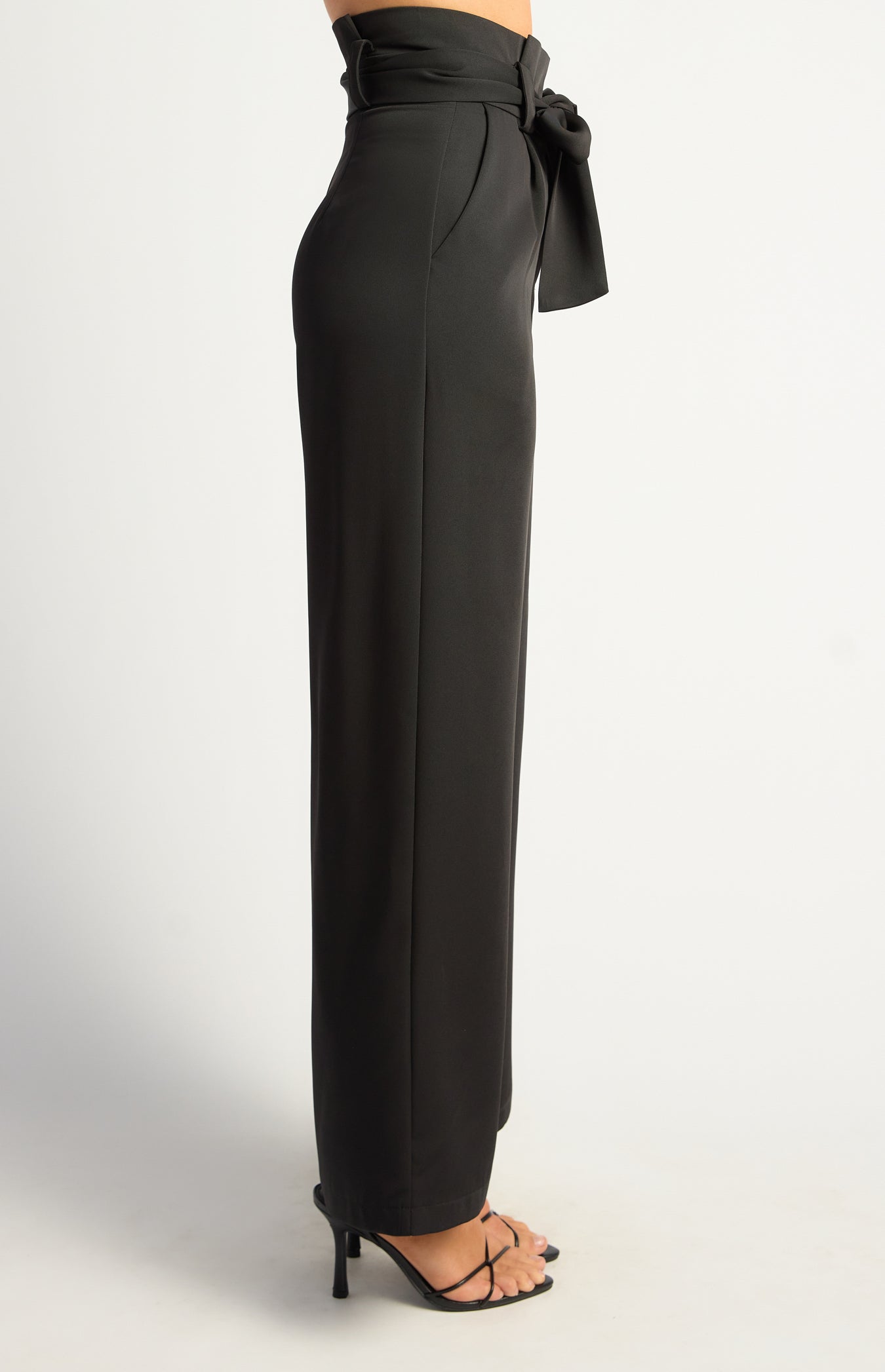 Paper Bag Dressy Pants
